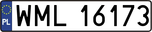 WML16173