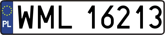 WML16213