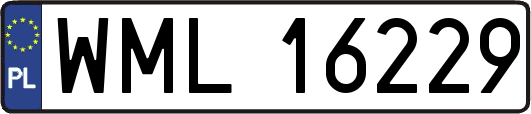 WML16229