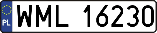 WML16230