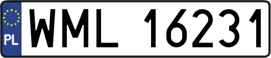 WML16231