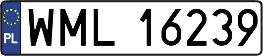 WML16239