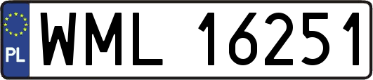 WML16251