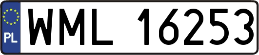 WML16253