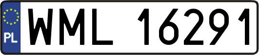 WML16291