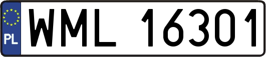 WML16301