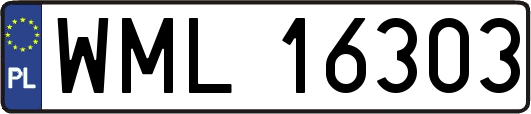 WML16303