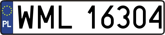 WML16304