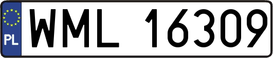 WML16309