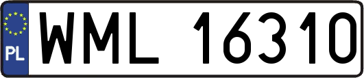 WML16310