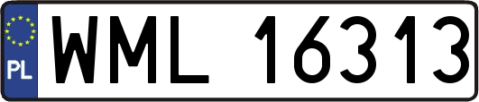 WML16313