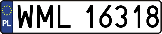 WML16318