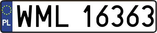 WML16363