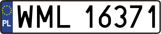 WML16371