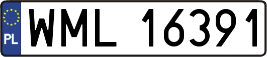 WML16391