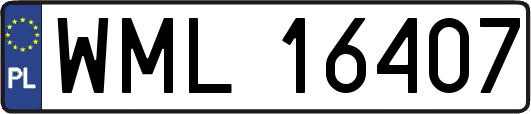 WML16407