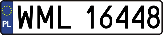 WML16448