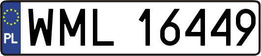 WML16449