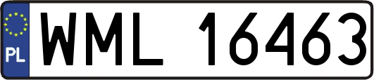 WML16463