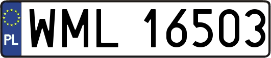 WML16503
