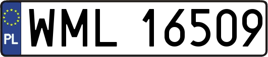 WML16509