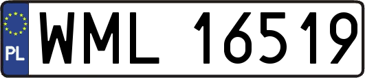 WML16519