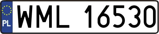 WML16530