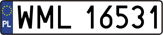 WML16531