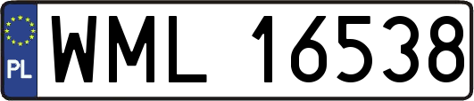 WML16538