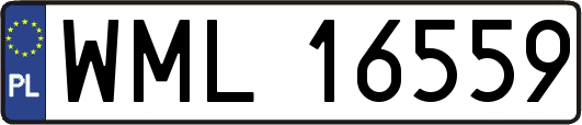 WML16559
