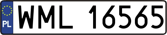 WML16565