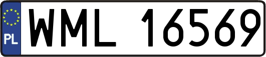 WML16569
