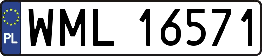 WML16571