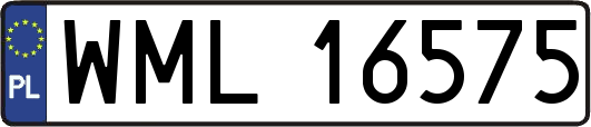 WML16575
