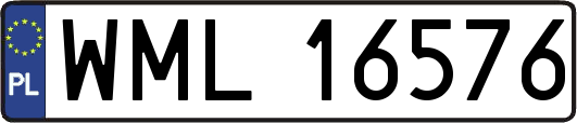 WML16576