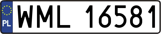 WML16581