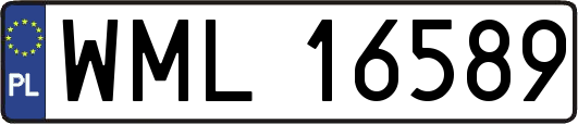 WML16589
