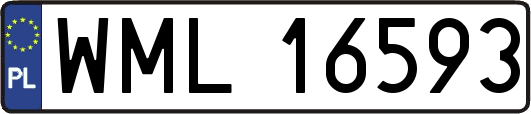 WML16593