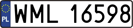 WML16598