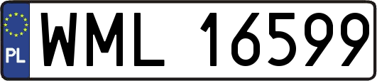 WML16599