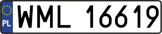 WML16619