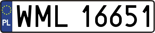 WML16651