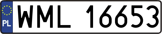 WML16653