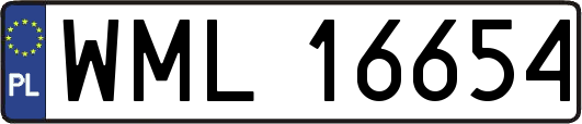 WML16654