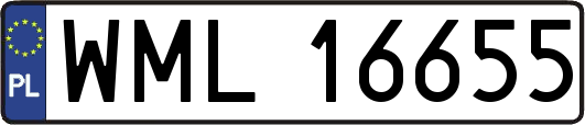 WML16655