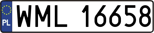 WML16658