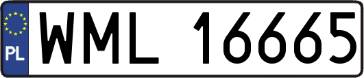 WML16665