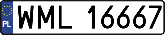 WML16667
