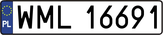 WML16691
