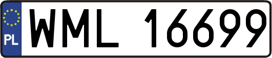 WML16699